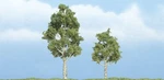 Woodland Scenics TR1612 Premium Aspen Tree, 3"/2" (2). Fixed Price $21.96.