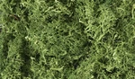 Woodland Scenics New 2024 Lichen Medium Green 86.6 Cubic Inches L163. Fixed Price $25.88.