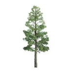 Jtt Scenery 94294 Professional Tree Multi-scale Pine 4" Per Pack. Fixed Price $15.00.