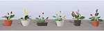 Jtt Assorted Potted Flower Plants - Set #3 Scale Model Railroad. Fixed Price $9.90.