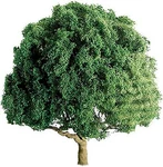Jtt Oak Trees - Professional Series Scale Model Railroad #94261. Fixed Price $16.66.