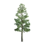 Jtt Scenery 94293 Ho Scale Pine 3'' Professional Trees (3). Fixed Price $22.69.