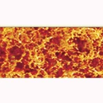 Jtt Foliage Fiber Cluster Medium, Late Fall 150 Square Inches 95073. Fixed Price $7.98.