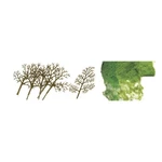 Jtt Ho Sycamore 3IN To 4IN Premium Kit PKG(16) 92020. Fixed Price $20.98.