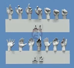 Royal Model 1/35 Assorted Hands Set NO.1 (7 Left & Right, Different Poses) 839. Fixed Price $23.54.