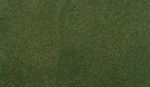 Woodland Scenics Forest Grass Project Sheet 12 1/2" X 1/8" RG5143. Fixed Price $18.36.