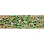 Jtt Scenery Products Cantaloupe Patch, 1-3/4" (6). Fixed Price $18.93.
