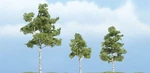 Rm Paper Birch Tree 2 1/4' 3PK. Fixed Price $20.88.