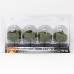 Woodland Classics 3592 Orange Trees 2" - 3" Scenery For Ho Scale Trains. Fixed Price $14.99.