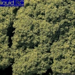 Woodland Scenics FC57 Foliage Cluster Bag Light GREEN/45 Cu. In.. Fixed Price $12.97.
