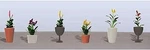 Jtt Assorted Potted Flower Plants - Set #4 Ho Scale Model Railroad. Fixed Price $10.33.