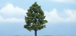 Woodland Scenics New 2025 Premium Sweetgum Tree 4" TR1608. Fixed Price $14.39.