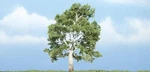 Woodland Scenics TR1609 Premium Sycamore Tree 4" Train Scenery Greenery. Fixed Price $12.85.