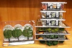 Lot Of Woodland Scenics Trees Foliage TR3511 F1135 F1134 TR1570 TR1571. Fixed Price $175.00.