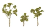Woodland Scenics TR1605 N/ho Prem Paper Birch Tree 1-11/16" 3" (3) Greenery. Fixed Price $18.54.