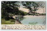1905 Scenic View Along Shore Chautauqua Lake New York Ny Vintage Posted Postcard. Fixed Price $14.98.