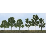 Super Scenic Tree, Deciduous 2.5-6 (20). Fixed Price $50.45.