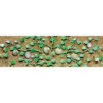 Jtt Ho Cantaloupe Patch PKG(6). Fixed Price $14.98.