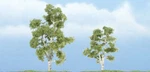 Woodland Scenics TR1603 Premium Sycamore Tree, 3"/2.25" (2-PACK). Fixed Price $15.99.