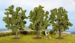 NOCH,3 Fruit Trees 4.5 Cm, NOC25510. Fixed Price $15.21.