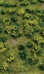 Jtt Flowering Meadow Mat X 7IN 12.7 17.8CM Sheet Yellow 05-95605. Fixed Price $14.98.