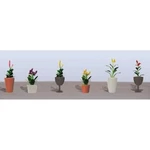 Jtt Ho Flower Plants Potted Assortment #4 PKG(6). Fixed Price $14.98.