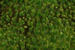 Bachmann 32922 Scene Scapes 11.75"X7.5" Medium Green Tufted Grass Mat. Fixed Price $30.44.