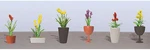 Jtt Ho Assorted Potted Flower Plants Set #2 PKG(6) 05-95567. Fixed Price $14.98.