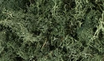Woodland Scenics New 2024 Lichen Dark Green 86.6 Cubic Inches L164. Fixed Price $25.88.