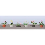 Jtt Scenery Products 95570 Flower Plants Potted Assortment Set #3 (pack 6). Fixed Price $9.73.