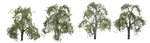 Jtt Ash Trees Professional Series 1-1/2IN 3.8CM Tall PKG(4) 94422. Fixed Price $24.98.