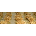 Jtt Ho Detachable Wheat Bushes PKG(30). Fixed Price $14.98.