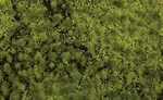Bachmann Tufted Grass Sheet/mat Scenescapes Light Green 3/16IN Fibers 32921. Fixed Price $35.98.