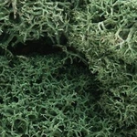 Woodland Lichen Light Green (1.5 Quarts) - Model Railroad #L162. Fixed Price $14.04.