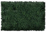 Scenic Express EX816B Coarse Forrest Green Flock & Turf - 32 Oz. Shaker. Fixed Price $14.99.