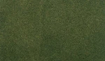 Woodland Scenics RG5133 Forest Grass Medium Roll 33" X 50". Fixed Price $18.96.