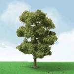 Jtt European Plane Trees Pro Elite 2-1/4IN 5.1 5.7CM PKG(3) 05 92207. Fixed Price $32.98.