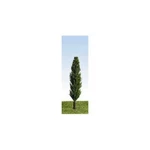 Peco P500 Poplar Trees, Green 90MM (6) Tall, Slender, Used As Wind Break. Fixed Price $18.25.