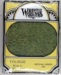 Woodland Scenics 52 Foliage Medium Green New Free Shipping. Fixed Price $12.99.