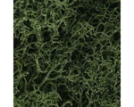 Woodland Scenics Lichen Bag, Medium GREEN/82 Cu. In. WOOL163. Fixed Price $15.99.