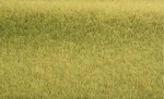 Heki 1863 17-1/2" X 6-1/2" Savannah Green Tuftgrass Pad. Fixed Price $19.99.