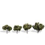 Woodland Scenics Classics Tree Sun Kissed 2-3 WOOTR3504 Train Scenery Non. Fixed Price $17.98.
