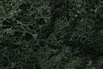 Woodland Scenics L164 Lichen Bag, Dark Green (82 Cu. In.). Fixed Price $13.99.