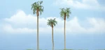 Woodland Scenics Premium Royal Palm Tree 4.5"/4"/3" Pieces TR1617. Fixed Price $30.62.
