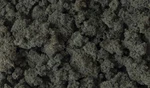 Woodland Scenics FC185 Clump Foliage - Conifer Green (165 Cu. In.). Fixed Price $16.99.