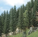 Busch 6134 Ho Scale Spruce Trees PKG(2) -- 6-13/16 & 7-13/16" 170 195MM Tall. Fixed Price $28.99.
