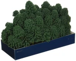 Super Scenic Tree, Evergreen 1-2" (55). Fixed Price $39.83.