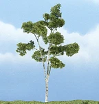 Woodland Scenics TR1616 Premium Paper Birch Tree, 4". Fixed Price $12.99.