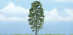 Woodland Scenics New 2025 Premium Basswood Tree 4" TR1618. Fixed Price $15.24.