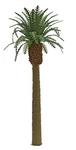 Jtt Professional Series Phoenix Palm Tree 8IN 20.3CM Tall 96045. Fixed Price $23.98.